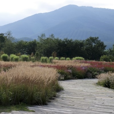 【採用情報】ガーデナー・カフェ責任者募集