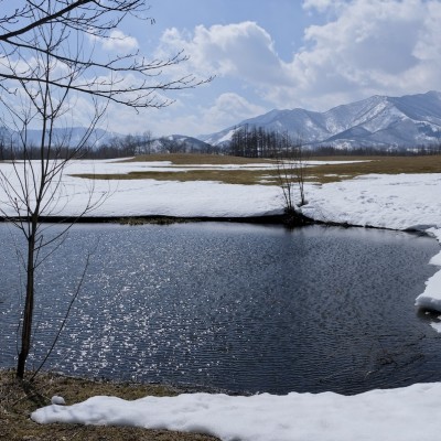 冬季イベントご案内⑤早春の森を探検しよう〜3月編〜